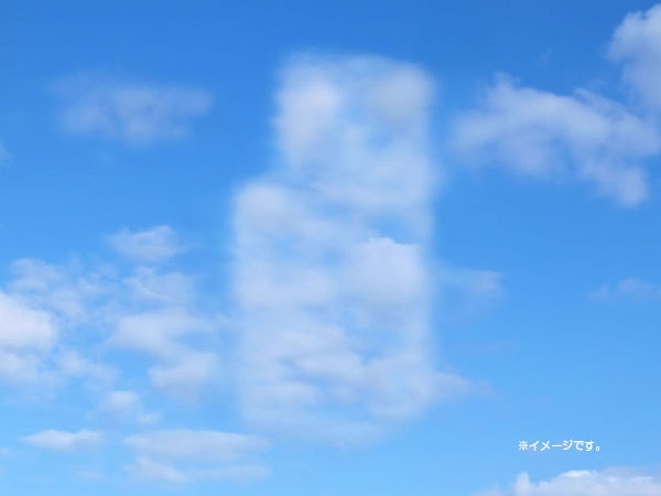 雲型フロア.jpg