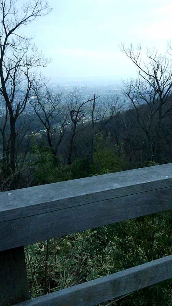 高槻の山（軽）.jpg