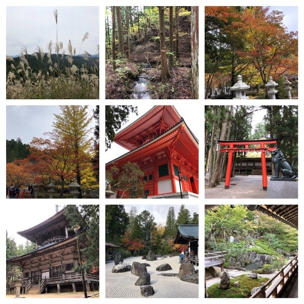 191103koyasan.jpg