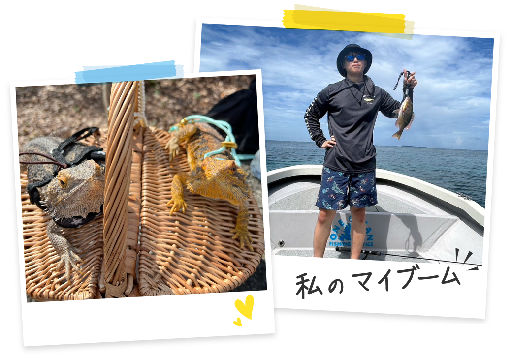 アウトドア寄りな趣味