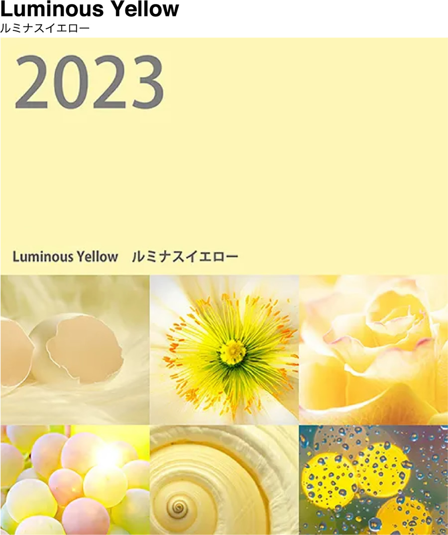 Luminous Yellow ルミナスイエロー