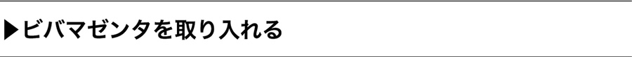 ビバマゼンタを取り入れる